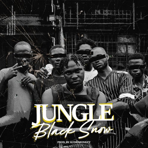 Jungle