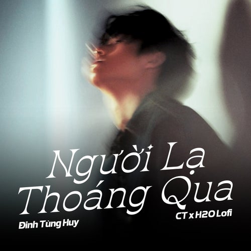 Người Lạ Thoáng Qua (Lofi)