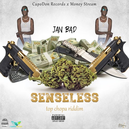 Senseless (Official Audio)