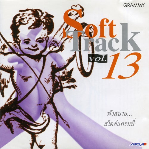 Soft Track, Vol. 13