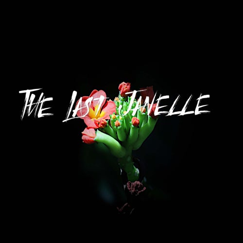 The Last Janelle