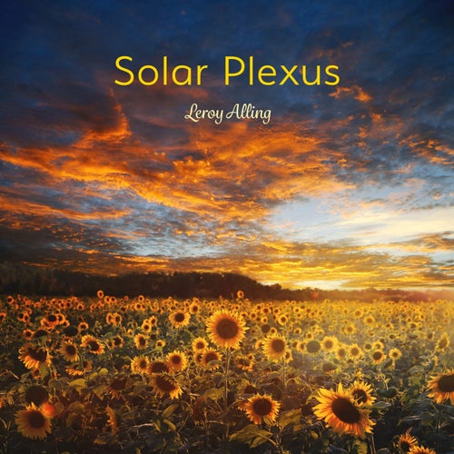 Solar Plexus