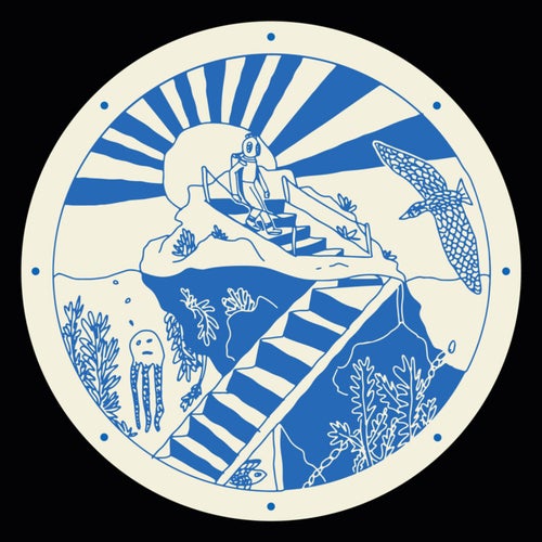The First Dive