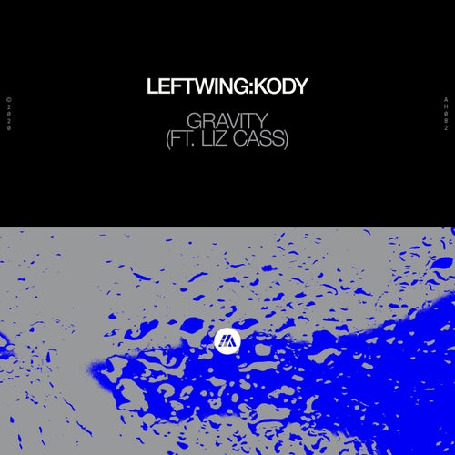 Gravity (feat. Liz Cass) (Extended Mix)