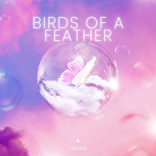 birds of a feather (Cover)