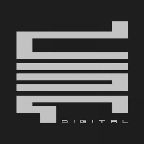 DSR Digital Profile