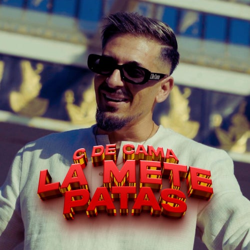 La mete patas