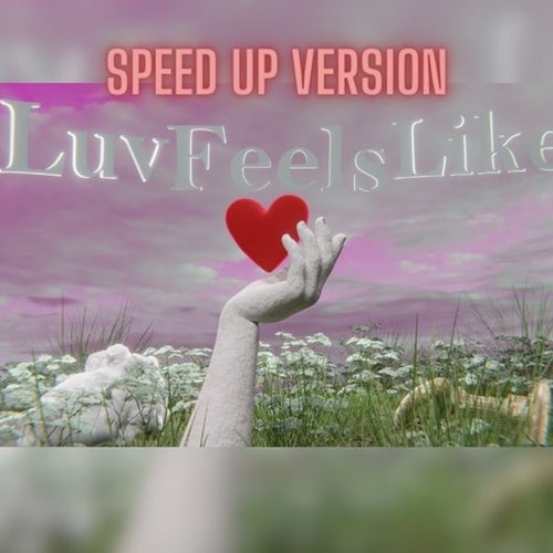 Luv Feels Like (Speed Up Version)