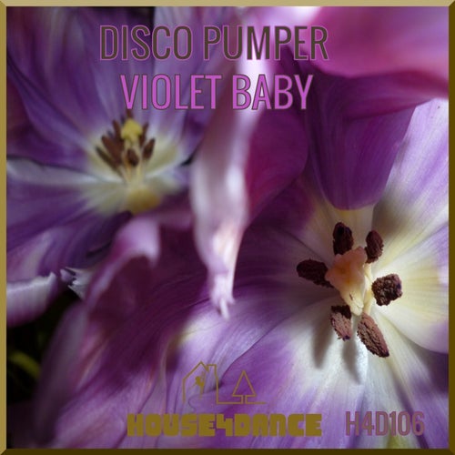 Violet Baby (Club Mix)