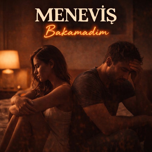 Bakamadım