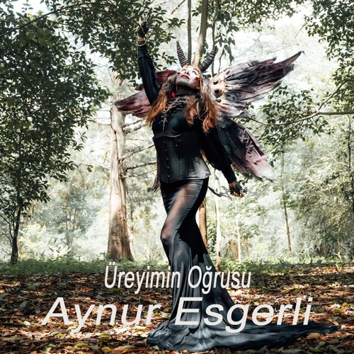 Üreyimin Oğrusu