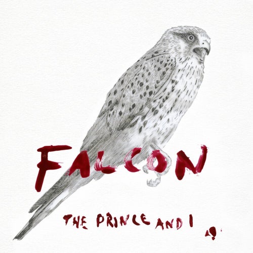 Falcon