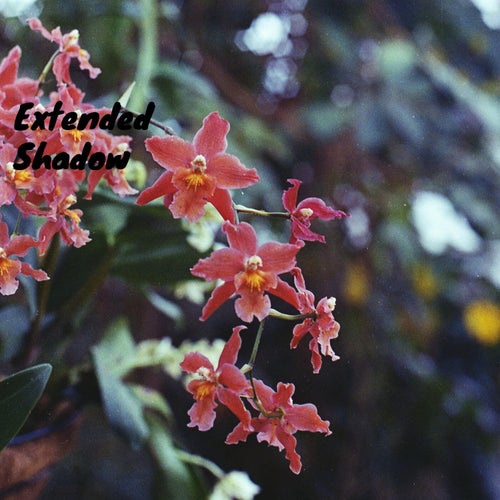 Extended Shadow