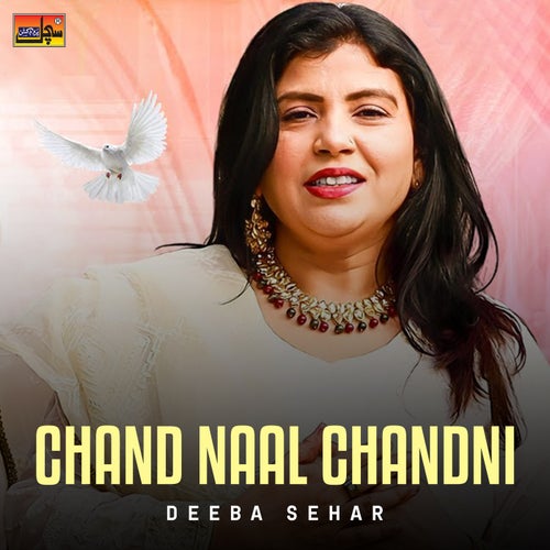 Chand Naal Chandni