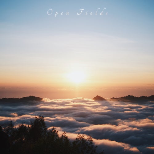 Open Fields
