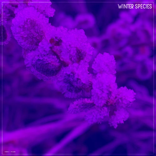 Winter Species