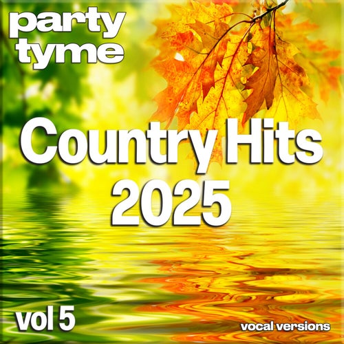 Country Hits 2025, Vol. 5 (Vocal)