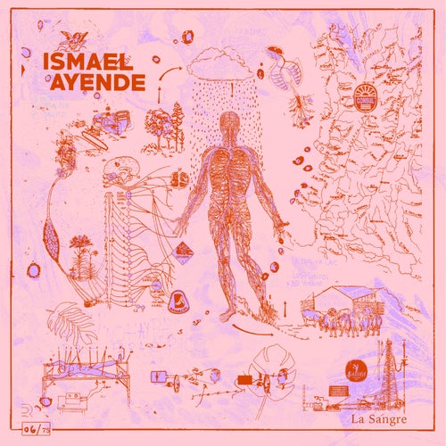 Release of the week