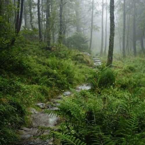 Boundless Expanse