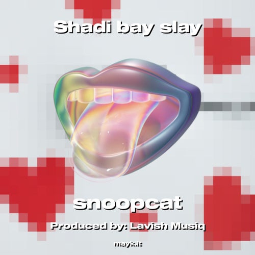 Shadi bay slay