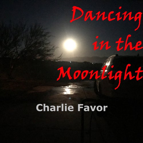 Dancing in the Moonlight