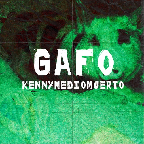 Gafo