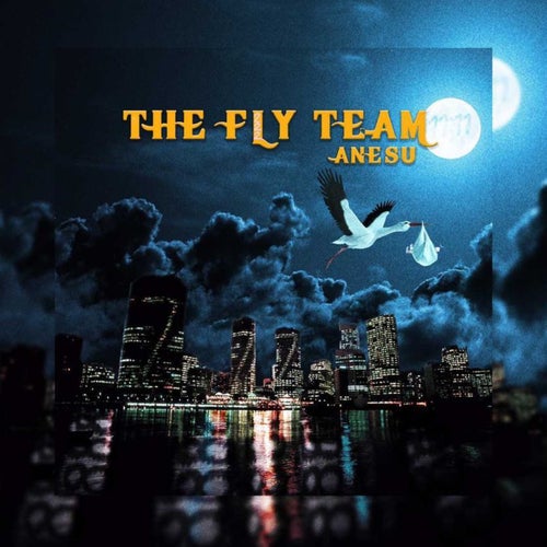 The Fly Team