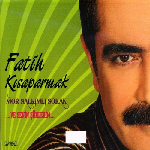Mor Salkımlı Sokak, Vol. 2 (...Ve Senin Şiirlerim...)
