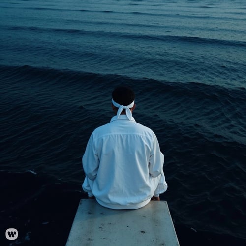 Nemo (Last95 Remix)
