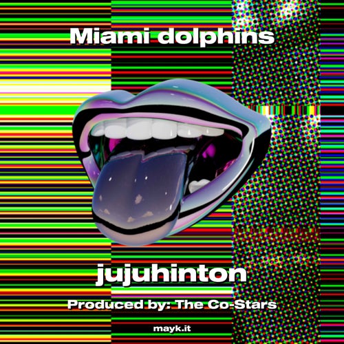 Miami dolphins