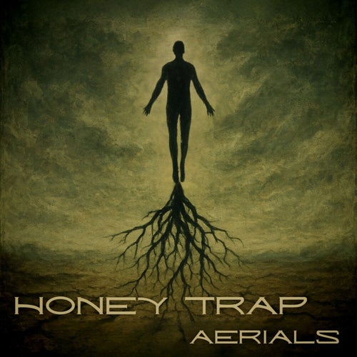 Aerials