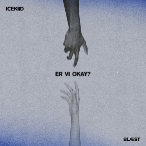 Er Vi Okay?