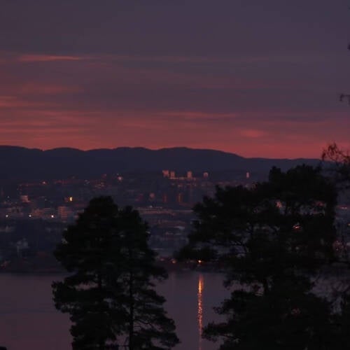 i lyngen