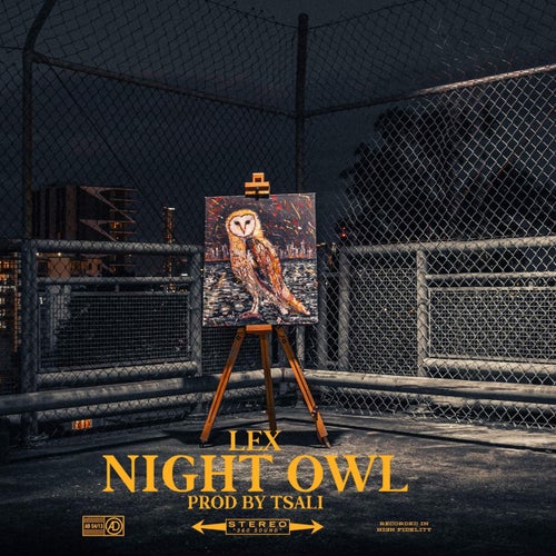 Night Owl