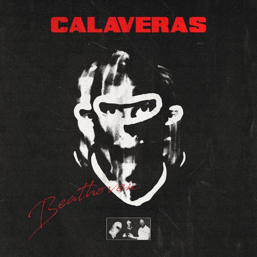 CALAVERAS