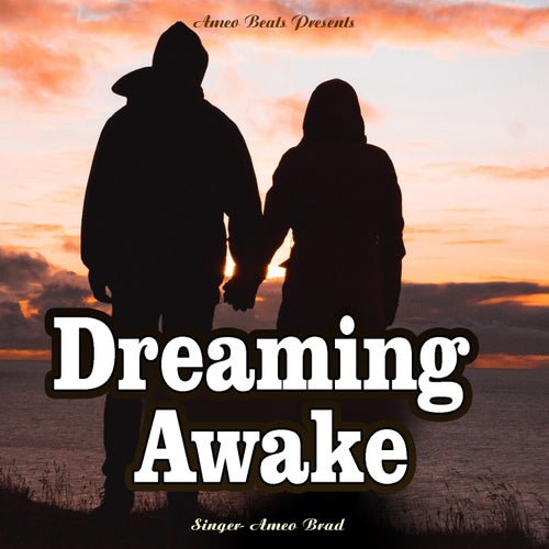 Dreaming Awake