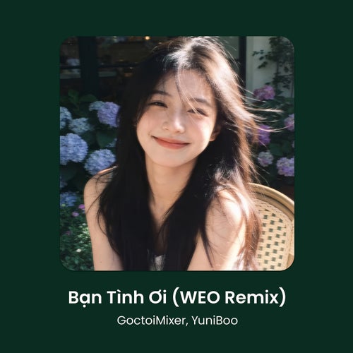 Bạn Tình Ơi (WEO Remix)