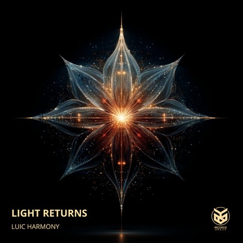 Light Returns