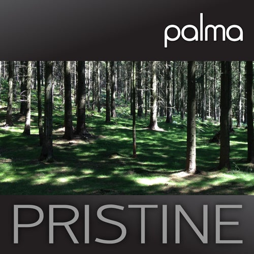 Pristine