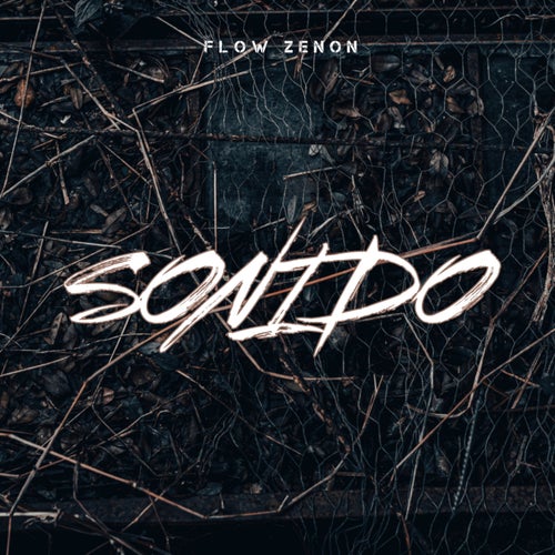 Sonido (Instrumental)