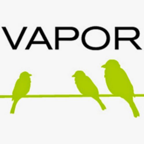 Vapor/Warner Records Profile