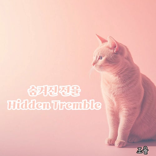 Release of the week