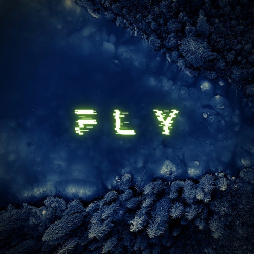 Fly