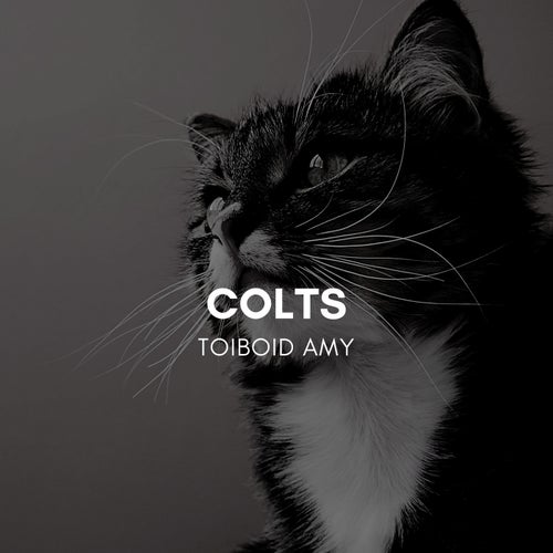 Colts
