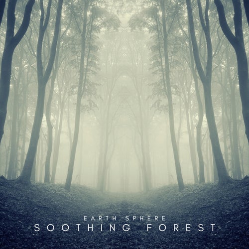 Soothing Forest Sounds