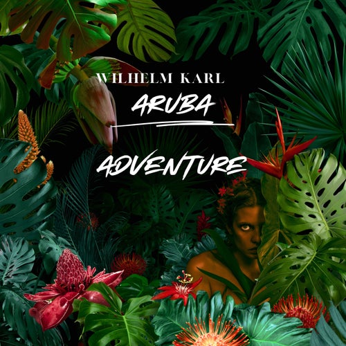 Aruba Adventure