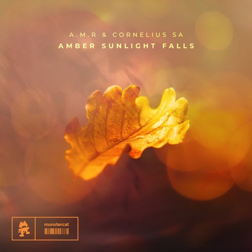 Amber Sunlight Falls