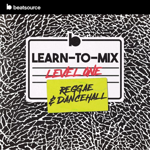 Learn-To-Mix Level 1 - Reggae & Dancehall Album Art