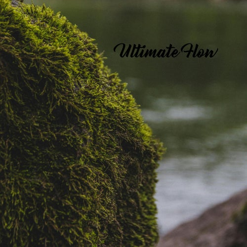 Ultimate Flow