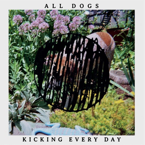 Kicking Every Day